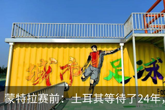 蒙特拉赛前：土耳其等待了24年，但24年没踢世界杯不是我们的责任